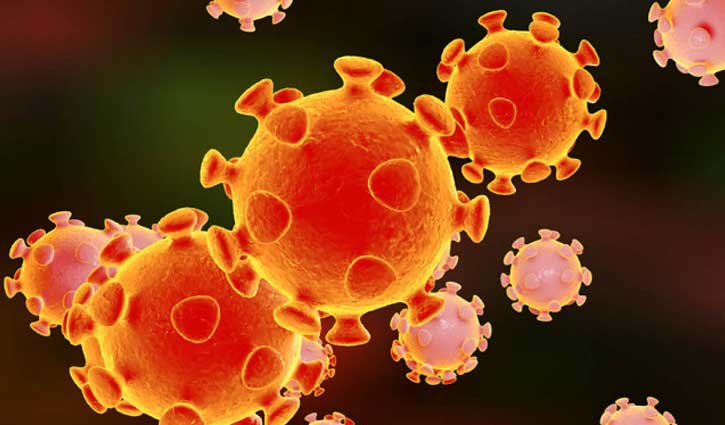 Two more die of coronavirus in Satkhira