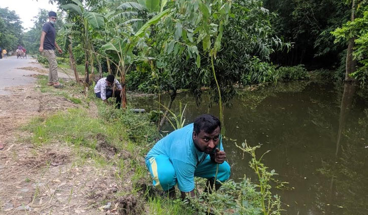 রাস্তার ধস ঠেকাতে বৃক্ষরোপণ রাস্তার ধস ঠেকাতে বৃক্ষরোপণ
