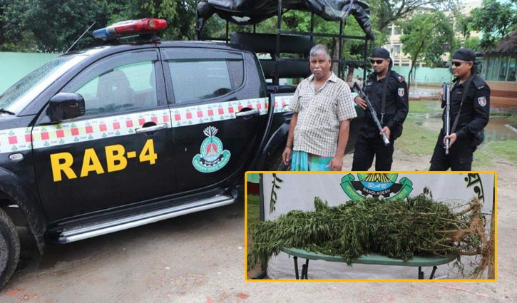 সাভারে ছাদবাগানে গাঁজা, চিলেকোঠায় মদ সাভারে ছাদবাগানে গাঁজা, চিলেকোঠায় মদ
