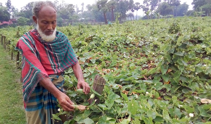 পটলের জাংলায় ঝুলছে আজিজারের স্বপ্ন