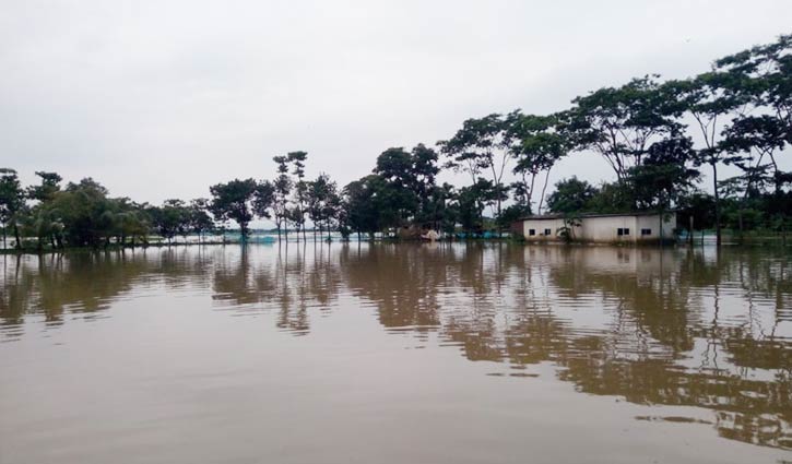 সুনামগঞ্জে বন্যায় ভেসে গেছে ৩০ কোটি টাকার মাছ সুনামগঞ্জে বন্যায় ভেসে গেছে ৩০ কোটি টাকার মাছ