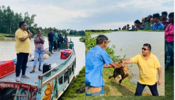 ১৩ গ্রামের ১০০ পরিবারে ৪০০ হাঁস উপহার ১৩ গ্রামের ১০০ পরিবারে ৪০০ হাঁস উপহার
