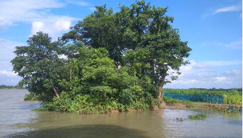 গ্রাম আর নদীর গল্প গ্রাম আর নদীর গল্প