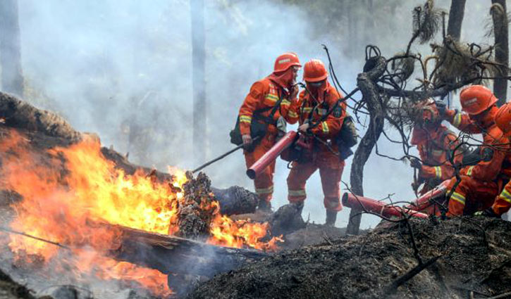 চীনে দাবানলে দমকল কর্মীসহ নিহত ১৯