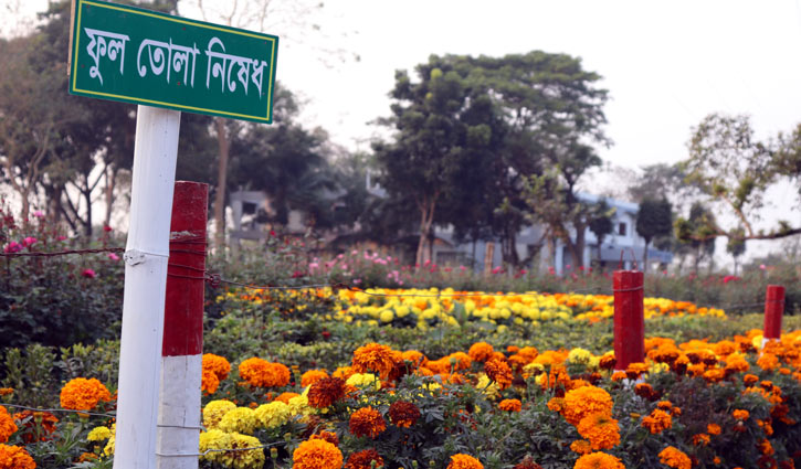 ইবির গায়ে বসন্তের বাতাস ইবির গায়ে বসন্তের বাতাস