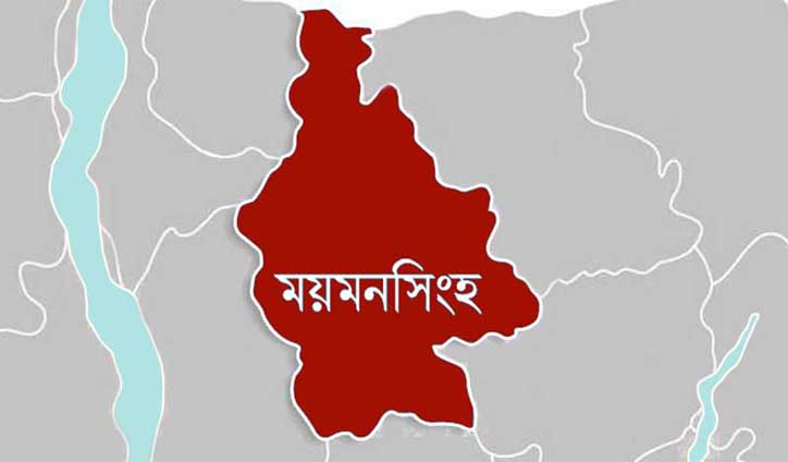 Two brothers crushed under bus in Mymensingh