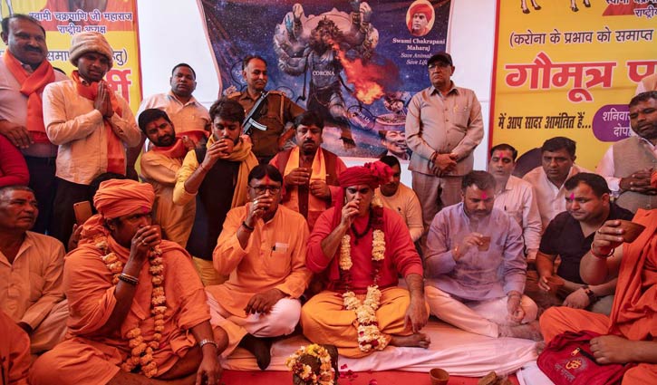 করোনাভাইরাসের প্রতিষেধক হিসেবে গোমূত্র পানোৎসব