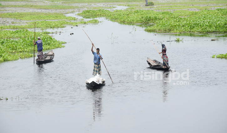 ছবিতে গ্রামীণ নারীর কর্মময় জীবন