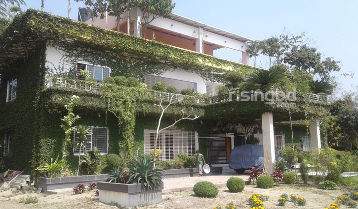 নজর কাড়ছে গাছবাড়ি নজর কাড়ছে গাছবাড়ি