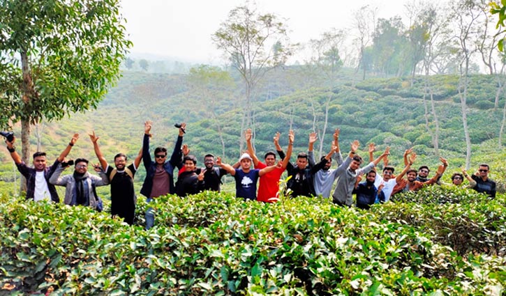 চা বাগানের বাঁকে বাঁকে