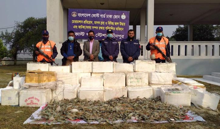 ১ হাজার কেজি জেলিযুক্ত চিংড়ি জব্দ ১ হাজার কেজি জেলিযুক্ত চিংড়ি জব্দ