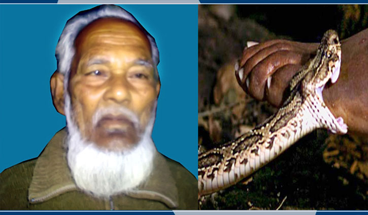 রাসেল ভাইপার সাপের কামড়ে সাংবাদিকের পিতার মৃত্যু