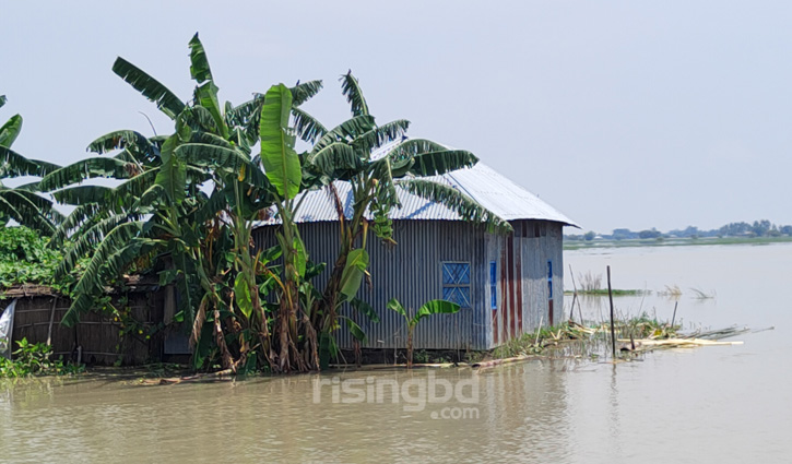 রাজবাড়ীতে পদ্মার পানি ২০ দিন ধরে বিপৎসীমার উপরে রাজবাড়ীতে পদ্মার পানি ২০ দিন ধরে বিপৎসীমার উপরে