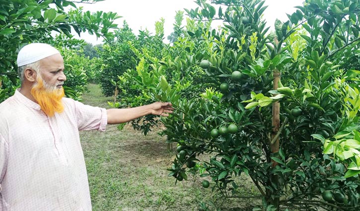 মাল্টায় আলতাব হোসেনের ভাগ্য বদলের স্বপ্ন