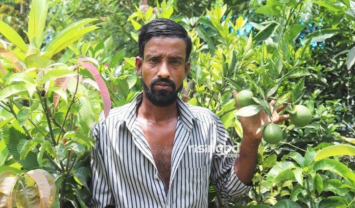 নার্সারি করে সফল ইউসুফ নার্সারি করে সফল ইউসুফ