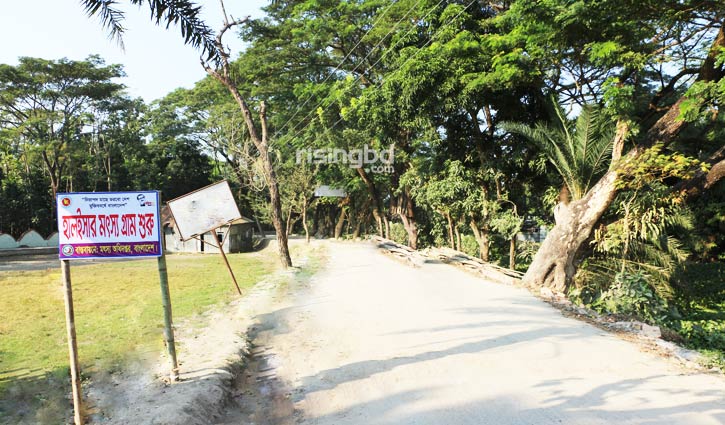 একটি আদর্শ মৎস্য গ্রামের গল্প