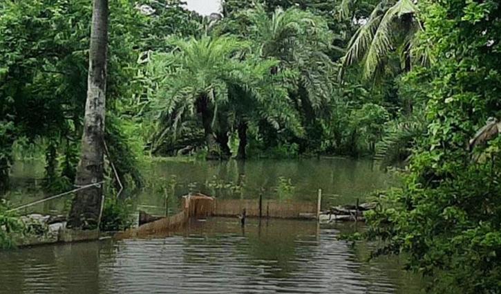 পানিবন্দি মানুষের দুর্ভোগ বাড়ছে