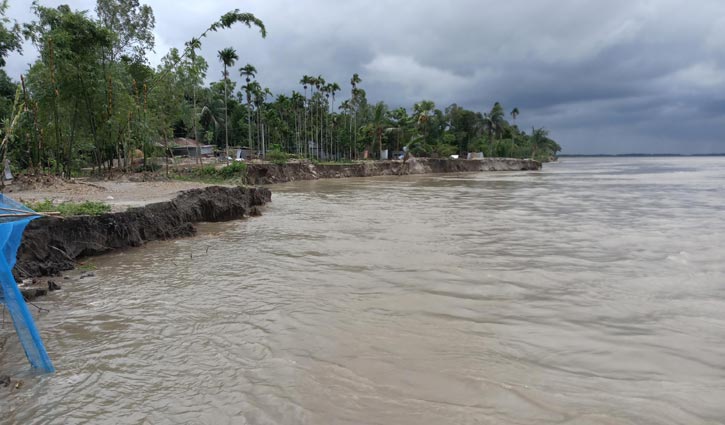 টাঙ্গাইলে যমুনার পানি বিপৎসীমার ওপরে