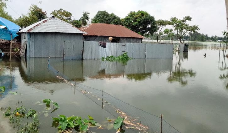 কাউনিয়ায় তিস্তার তীরবর্তী নিম্নাঞ্চল প্লাবিত, পানিবন্দি ৫শ পরিবার কাউনিয়ায় তিস্তার তীরবর্তী নিম্নাঞ্চল প্লাবিত, পানিবন্দি ৫শ পরিবার