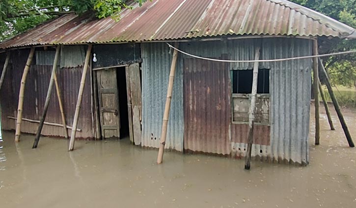 পানি বৃদ্ধি: পদ্মাপাড়ের মানুষের সংকটময় সময়