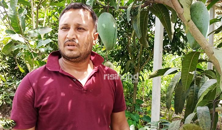 ৫৬ জাতের আমে ৩ বছরে কোটি টাকা ৫৬ জাতের আমে ৩ বছরে কোটি টাকা
