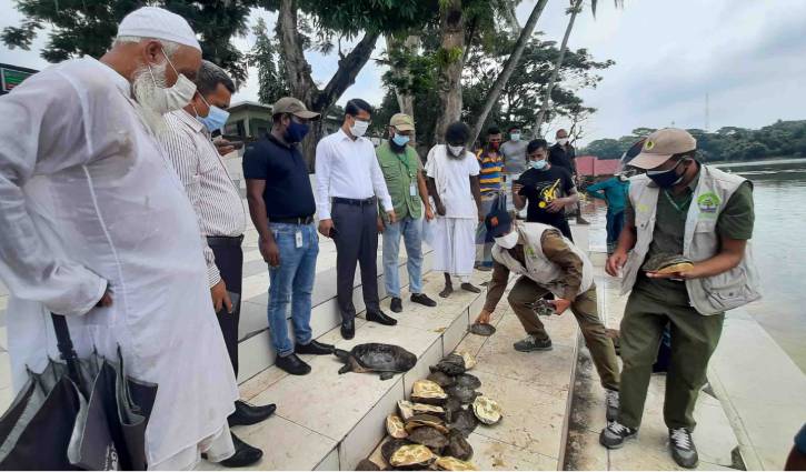 খানজাহান আলী মাজার দিঘিতে ছেড়ে দেওয়া হলো ৭৩ সন্ধি কচ্ছপ খানজাহান আলী মাজার দিঘিতে ছেড়ে দেওয়া হলো ৭৩ সন্ধি কচ্ছপ