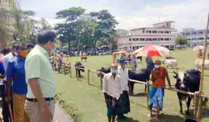 বাগেরহাটে ২০টি স্থায়ী গরুর হাট চালু বাগেরহাটে ২০টি স্থায়ী গরুর হাট চালু