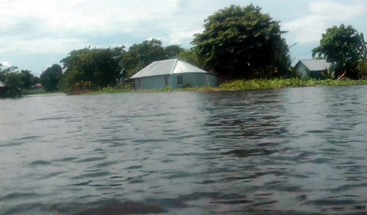 কুষ্টিয়ায় ১৭ গ্রাম প্লাবিত, ২৫ হাজার মানুষ পানিবন্দি