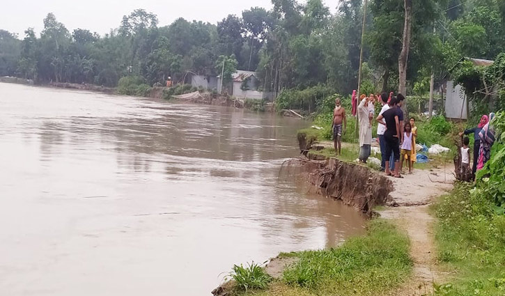 টাঙ্গাইলের ৫০০ পরিবার ভাঙন আতঙ্কে টাঙ্গাইলের ৫০০ পরিবার ভাঙন আতঙ্কে