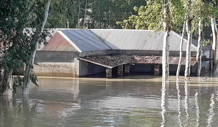 বগুড়ায় যমুনার পানি কমতে শুরু করেছে বগুড়ায় যমুনার পানি কমতে শুরু করেছে