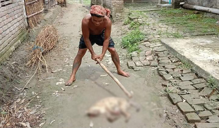 বন্যপ্রাণী হত্যা করায় যুবক গ্রেপ্তার বন্যপ্রাণী হত্যা করায় যুবক গ্রেপ্তার