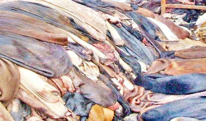 বাড়লো চামড়ার দাম বাড়লো চামড়ার দাম