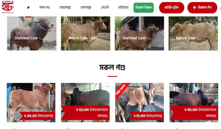 ২৪১টি ডিজিটাল কোরবানির হাট উদ্বোধন ২৪১টি ডিজিটাল কোরবানির হাট উদ্বোধন