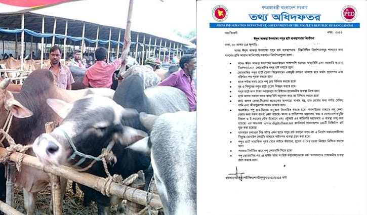 পশুর হাটে মানতে হবে যেসব নির্দেশনা পশুর হাটে মানতে হবে যেসব নির্দেশনা