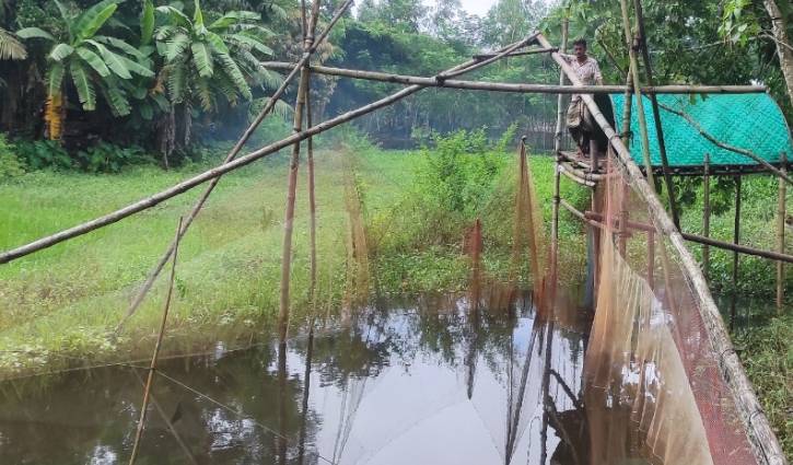 কুমিল্লার নদী-খালে দেশি মাছের আকাল কুমিল্লার নদী-খালে দেশি মাছের আকাল