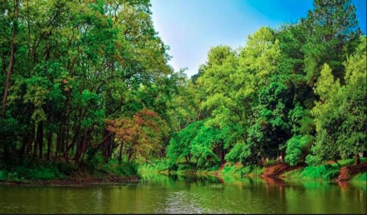 Madhupur Park- home to a large variety of wildlife