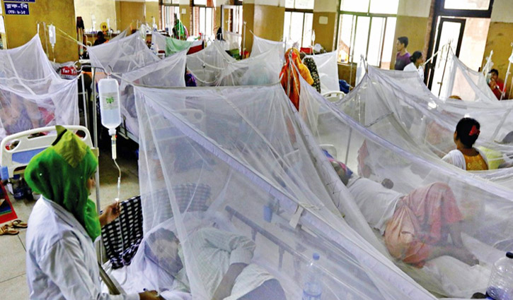 194 new dengue patients hospitalised in 24hrs