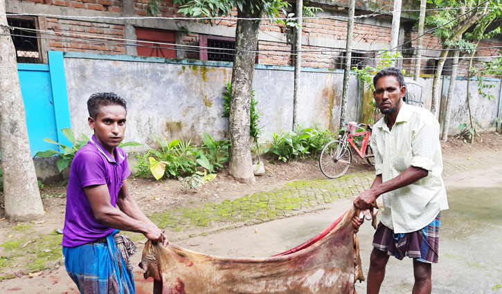 চামড়ার দাম কম, লোকসানের ভয়ে কিনছেন না ব্যবসায়ীরা চামড়ার দাম কম, লোকসানের ভয়ে কিনছেন না ব্যবসায়ীরা