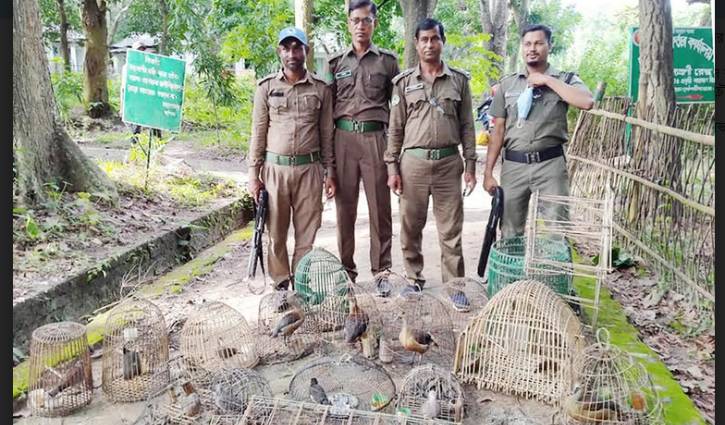 সাতছড়িতে ১২টি পাখি অবমুক্ত, খাঁচা ও ফাঁদ জব্দ