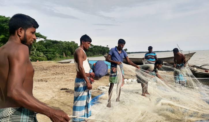 মাছের নদী মেঘনায়ও মিলছে না রুপালি ইলিশ