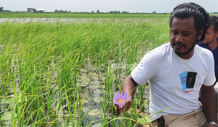 মুগ্ধতা ছড়াচ্ছে ঘুরগার বিল