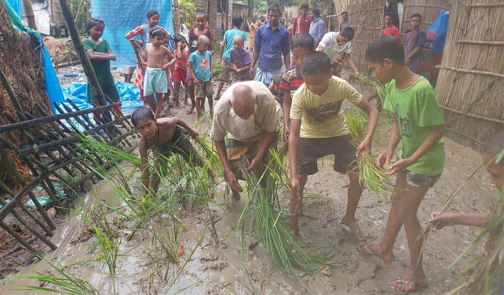 রাস্তায় ধানের চারা রোপণ করে প্রতিবাদ