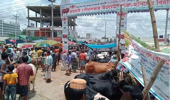 সাভার-ধামরাইয়ে বসেছে ২০ পশুর হাট সাভার-ধামরাইয়ে বসেছে ২০ পশুর হাট