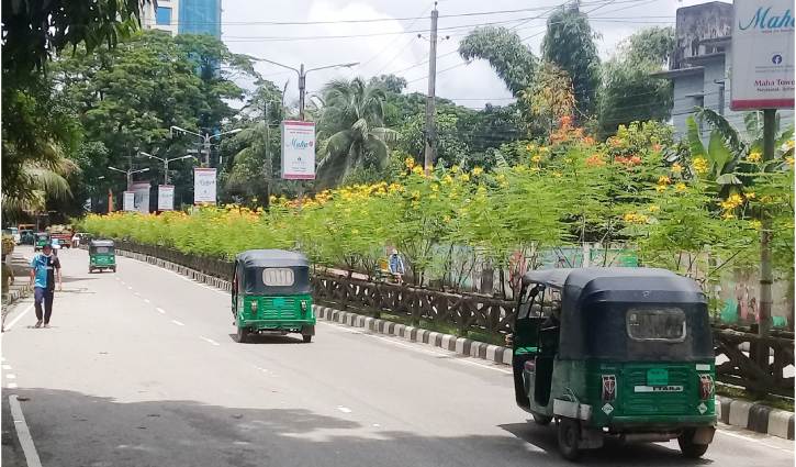 সড়কদ্বীপে রাধাচূড়ার সমাহার, মুগ্ধ পথচারী