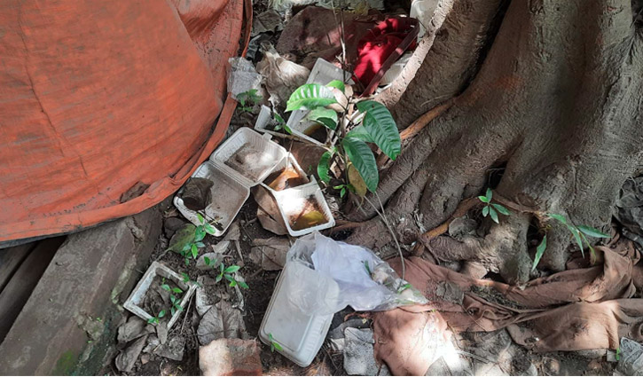 ওয়ান টাইম প্লাস্টিক বর্জ্য হয়ে উঠছে বড় বিপদের কারণ