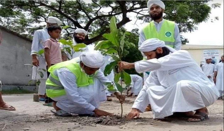 দেশব্যাপী দাওয়াতে ইসলামীর বৃক্ষরোপণ কর্মসূচি শুরু