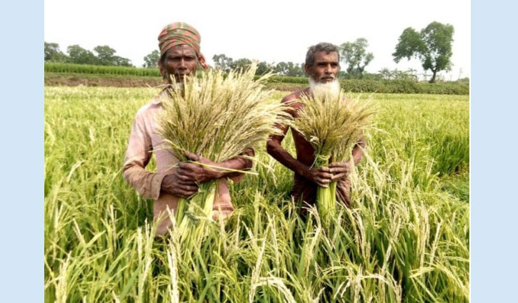 এ কেমন গরম বাতাস এলো, সব সাদা হয়ে গেলো এ কেমন গরম বাতাস এলো, সব সাদা হয়ে গেলো