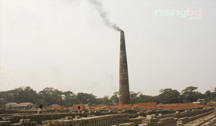 ইটভাটার পেটে গেলো ৬০ একর ফসলি জমি ইটভাটার পেটে গেলো ৬০ একর ফসলি জমি
