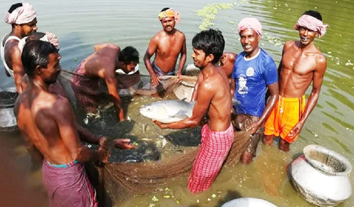 শাওনের মাছের খামারে ১০ জনের কর্মসংস্থান শাওনের মাছের খামারে ১০ জনের কর্মসংস্থান