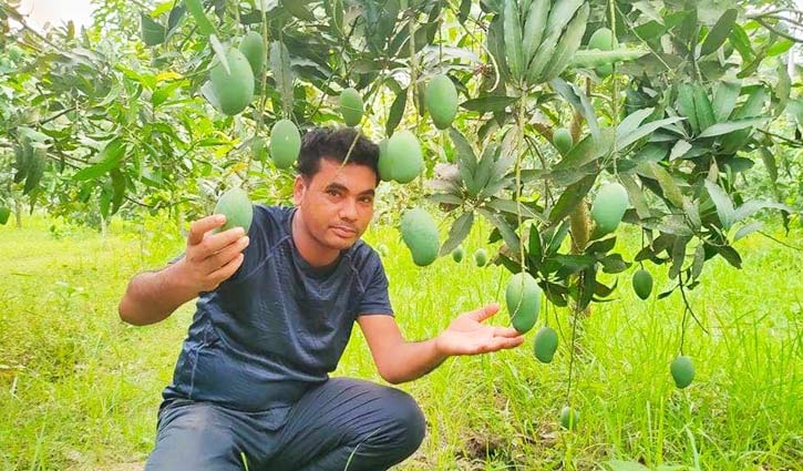 বিক্রেতা থেকে আম বাগানের মালিক জামাল বিক্রেতা থেকে আম বাগানের মালিক জামাল